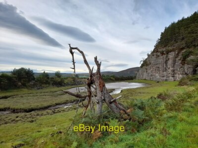 Foto 6x4 Natur Skulptur fand ich das ziemlich auffällig. Es steht ne c2021