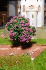 Bild 8 von 9