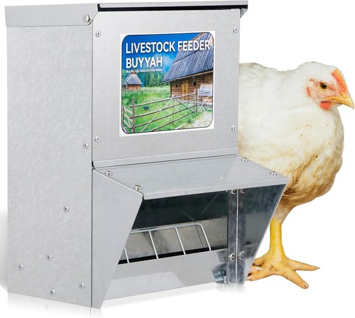 Automatic Chicken Feeder, 30 lbs Capacity, Galvanized Metal Poultry Feeder, No W