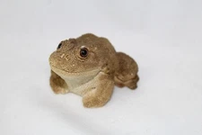Small Realistic Hydrostone Frog Figurine