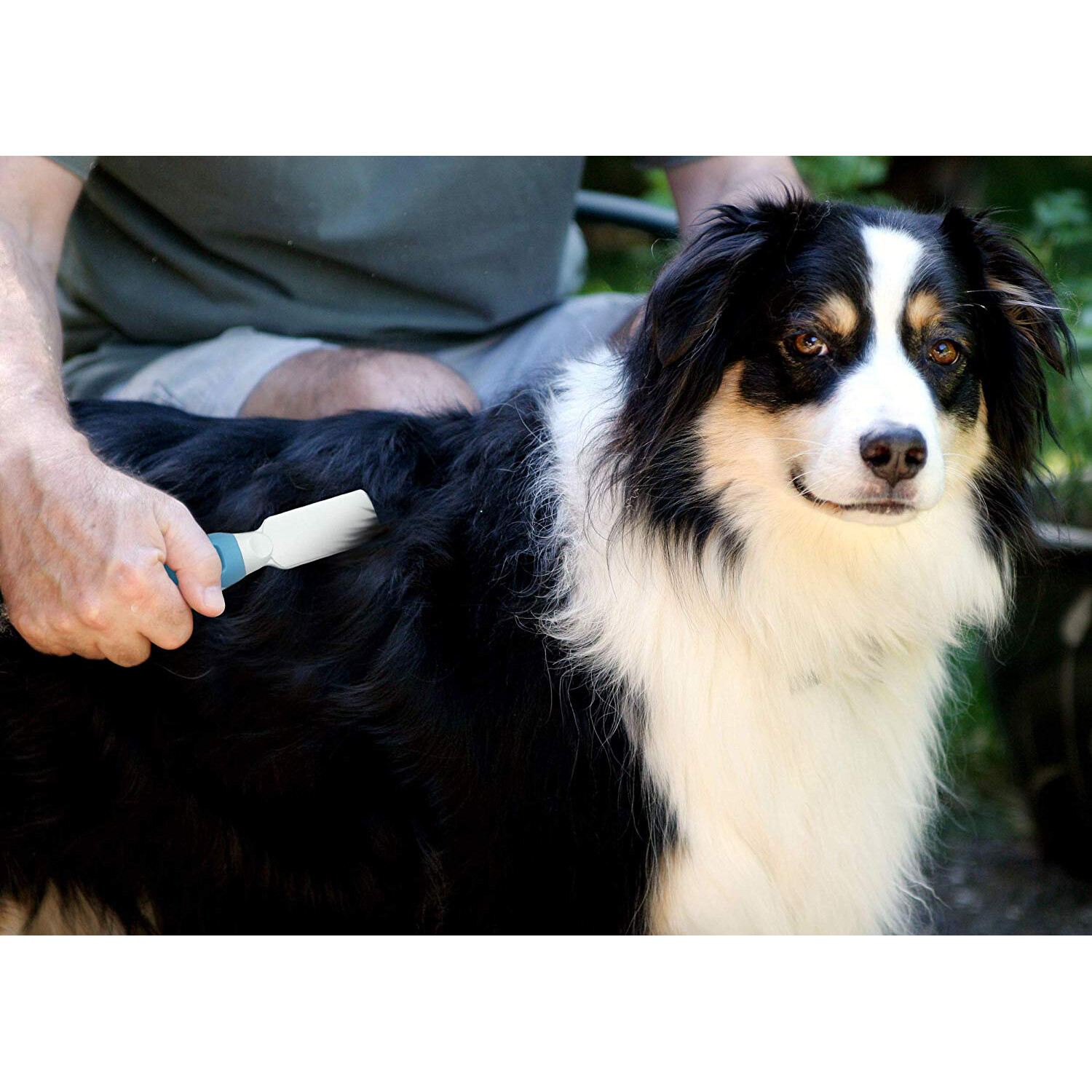 Pets First Professional Pet Mat Remover Dematting Tool for Grooming