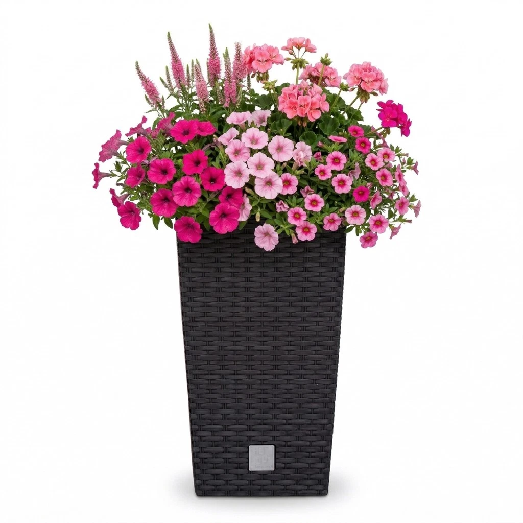 Rechteckige Pflanzkrbe, Blumentpfe, Orchidee Kbel online kaufen | eBay.de