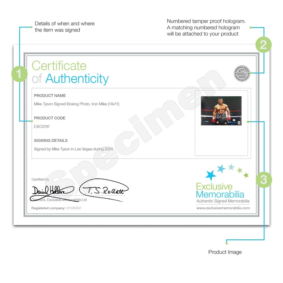 Von Mike Tyson signiertes Boxfoto: Iron Mike. Deluxe-Rahmen - Bild 2 von 3