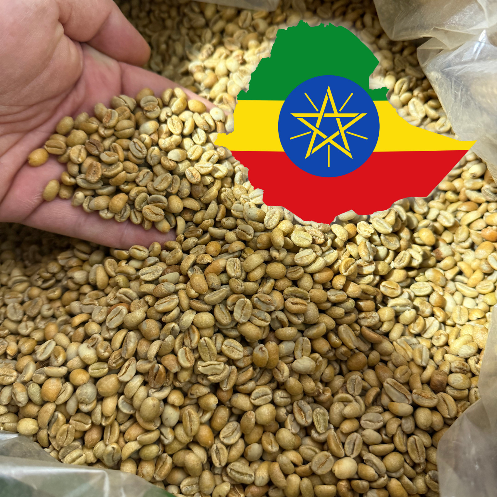 5 LB ETHIOPIA, 87 CUP SCORE UNROASTED GREEN COFFEE BEANS FIV