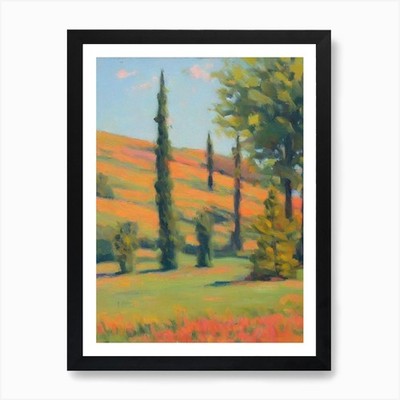 Bald Cypress Tree Watercolour 1 Art Framed Wall Art Poster Canvas Print Picture