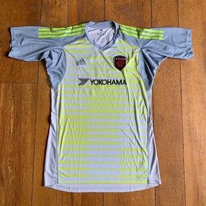 adidas adipro 18 goalkeeper kit