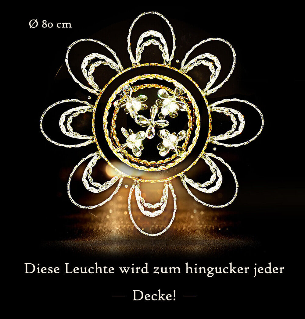 Bild 38 von 41