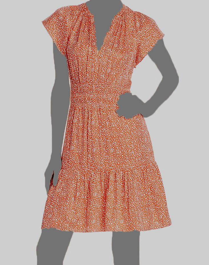 rebecca taylor red floral dress NWOT$475 Rebecca Taylor Ruffle Clip Dress, Silk/cotton floral embossed Red 6