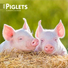 Piglets | 2026 7x14" (Hanging) Monthly Mini Wall Calendar