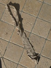 Cravatta MILITARE Esercito Italia Drop Uniforme Estiva Camicia WW2 era RE divisa