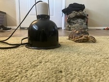 ZOO MED MINI DEEP DOME LAMP FIXTURE - BLACK - 5.5 IN - 100 WATT - LF-18