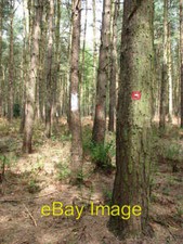 Photo 6x4 Beside the Fire Path Craymere Beck This section has not yet bee c2008