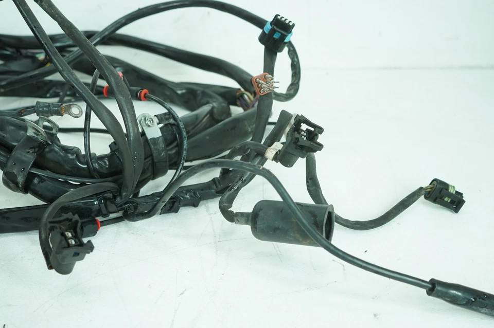 Harley Touring Electra Glide 2001 clásica OEM cableado principal arnés telar Foto 3 de 4