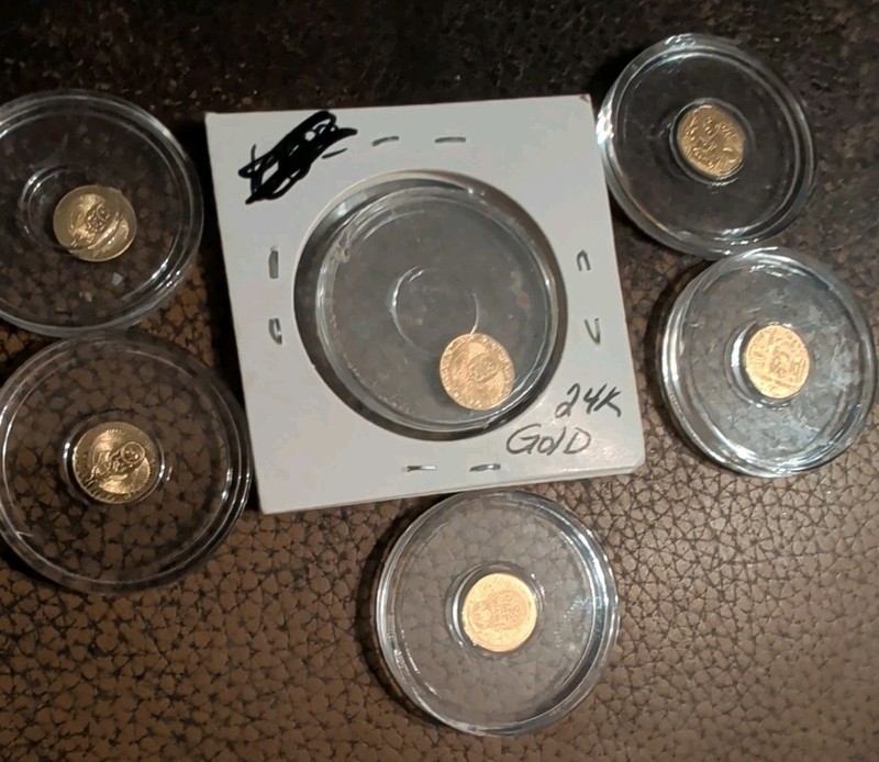 Lot Of 5  1/200 Oz Gold Egyptian And 1 Skull Coin