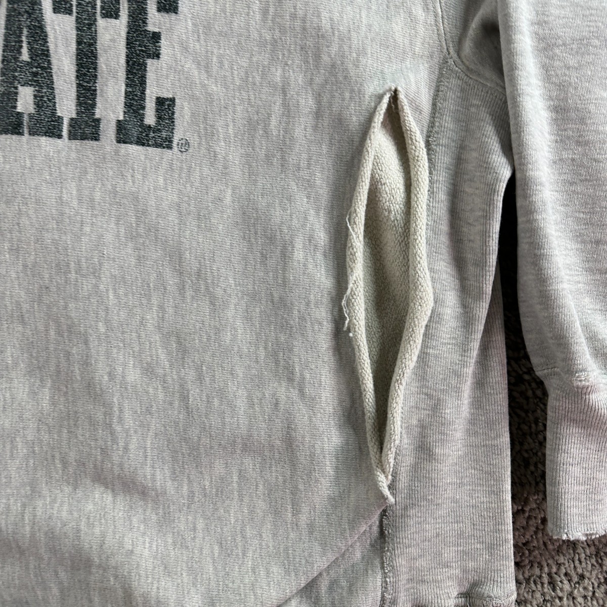 VTG Champion Reverse Weave Sweatshirt Mens XL Gray Michigan State