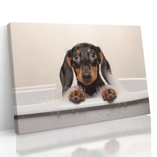 Dachshund Cute Sausage Dog In Bath Canvas Print Wall Art Painting Poster Picture