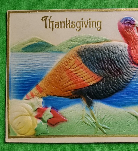 Antique Embossed Thanksgiving Greeting Postcard Turkey Lake Flower Mountain Sent - Picture 3 of 11