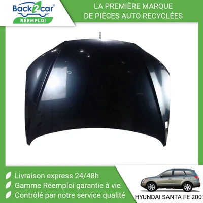 🏆 CAPOT HYUNDAI SANTA FE 4X4 00- ➤664002B030 🌱 - Photo 1/3