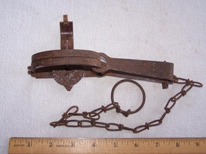 Oneida Victor #0 Muskrat Trap With Chain!!!