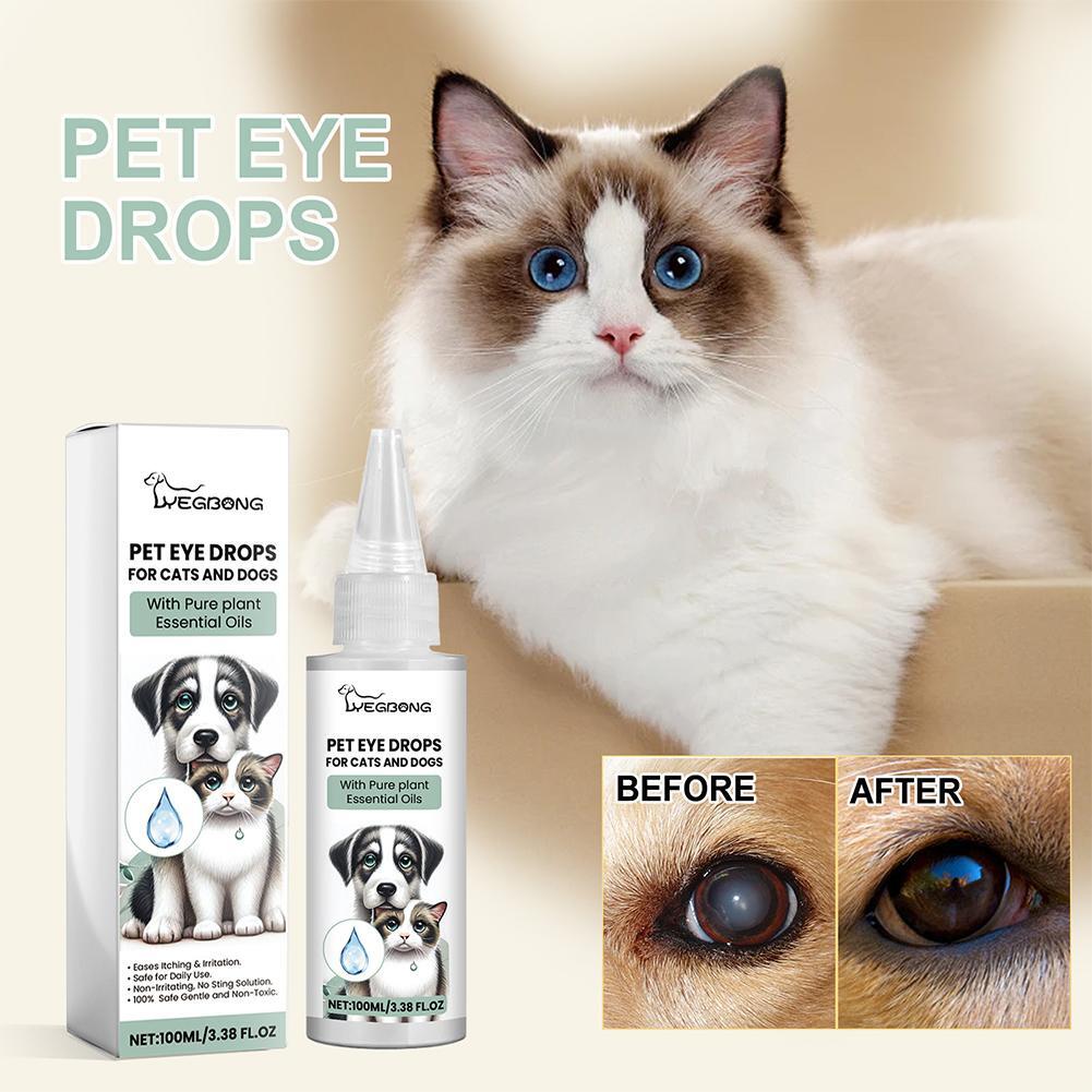 Feline Eye Drops For Infection Chlamydia Cat Treatment Infectious