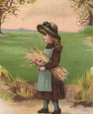 Jersey Coffee Dayton Office Girl Wheat Harvest TF Victorian Trade Card Ad