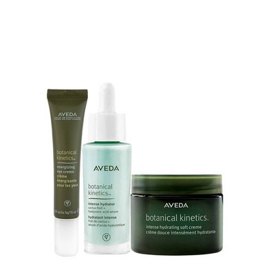 Aveda Botanical Kinetics Set