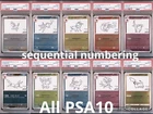 Pokemon PSA 10 Sequential Yu Nagaba Eevee pikacyu Promo Set 10 FULL Complete