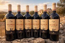 6x 0,7l Sizilien/ Italien Rotwein IGT 2021 Firriato Syrah, Merlot e Frappato.