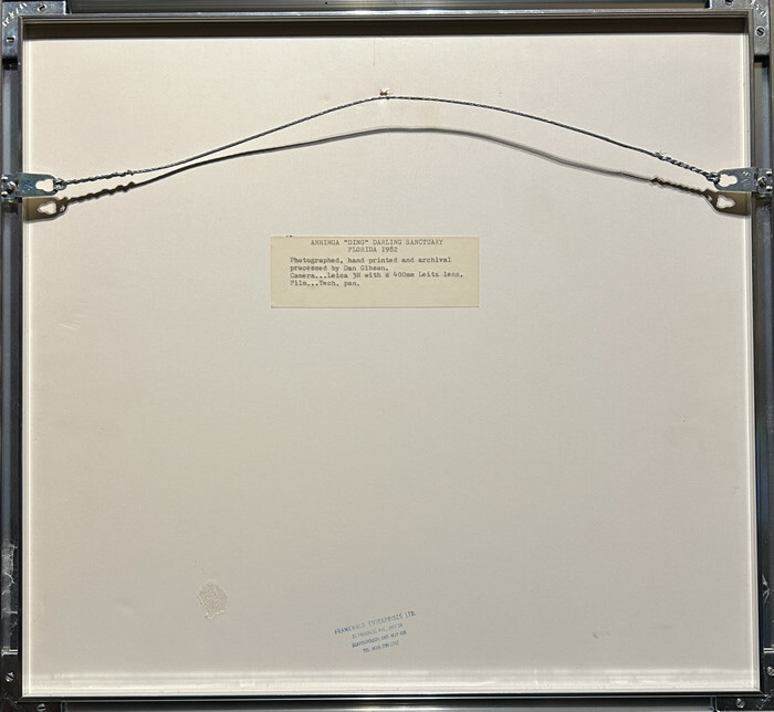 Dan Gibson - Fine Art Photography - Ahninga Ding Wildlife Sanctuary (Florida)