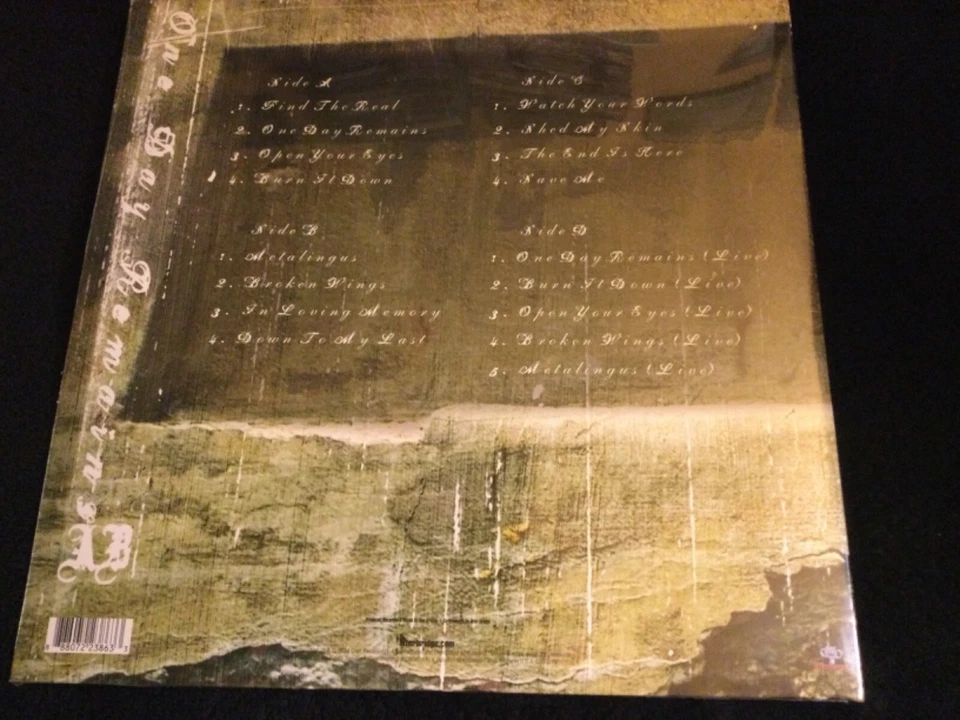 ALTER BRIDGE - ONE DAY REMAINS (20th Anniv.) Limited Ed. Blue Smoke Vinyl 2LP - Image 3 of 4