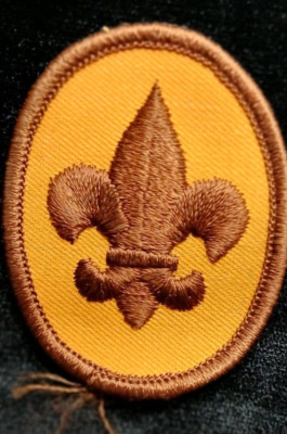 Boy Scouts Tan Vtg Fleur De Lis SCOUT RANK 2'' Embroidered Merit Badge BSA Patch