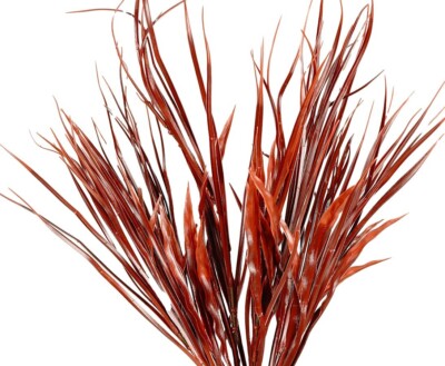 Wetterfeste Grasbusch Kunstpflanzen mit 8 UV-sichere rot farbige PE Zweige  50cm | eBay.de