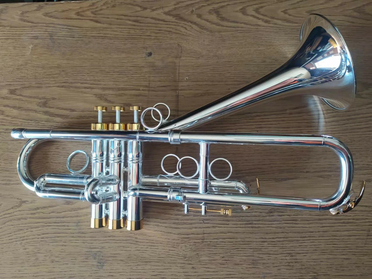 BerkeleyWind Bb FireBird Trumpet w Trombone EZ Transpose Silver eBay