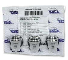 Valve Kit for 5CP6190/7CP6170 Pumps, Cat Pumps 34920