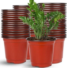 Augshy 110 Pcs 6" Plastic Plants Nursery Pot, Seed Starting 6 Inches, Red 