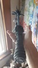 Bild 3 von 6