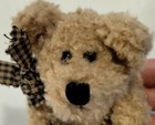 Bild 7 von 12