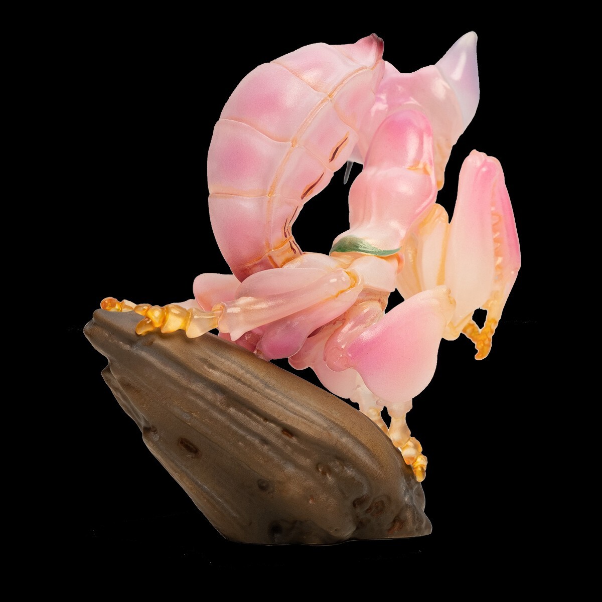 In-Stock】Animal Heavenly Body Orchid mantis Hymenopus Collectible