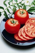 Tomato Goliath Bush  100 seeds