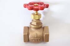 Globe Valve 300# Bronze 1"