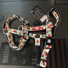 Max & Molly Large Dog Harness- Watermelon Pattern