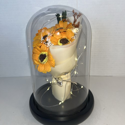 Dream of Flowers 3 Colorful Daisys Flower in Glass Dome LED lights Up New!! - Picture 2 of 5