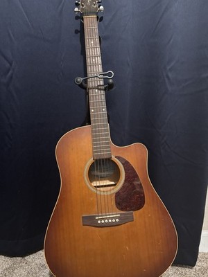 Seagull Entourage Rustic CW QI Acoustic-Electric Guitar + Fender Mustang
