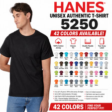 NEW Hanes Men's ComfortSoft Heavyweight 100 Cotton S-3XL T-Shirt 5250T