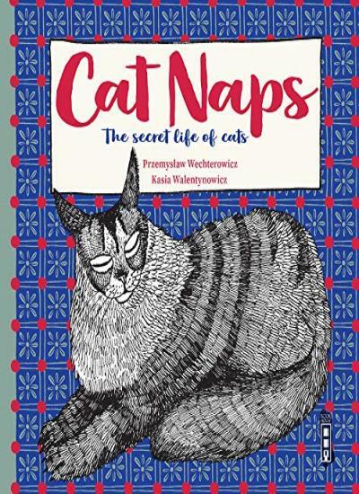 The Secret Lives of Cats. Wechterowicz, Walentynowicz 9781912537839 New**