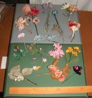 Picture 2 of 9