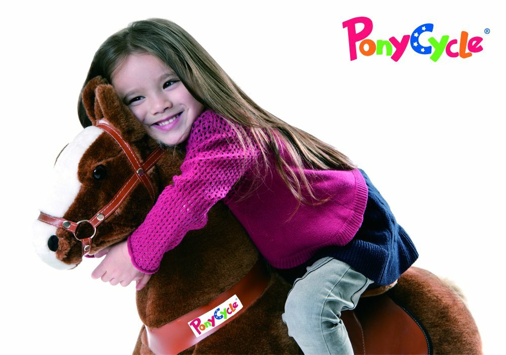 ebay ponycycle