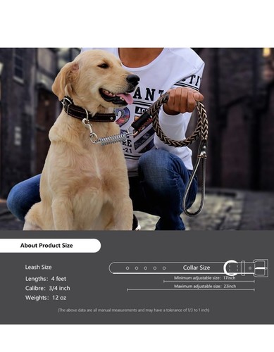 Juego completo de correa y cuello de cuero para perro de 4 pies - Imagen 4 de 6