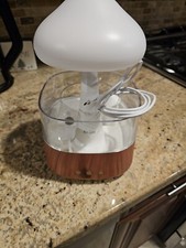 Rain Cloud Humidifier