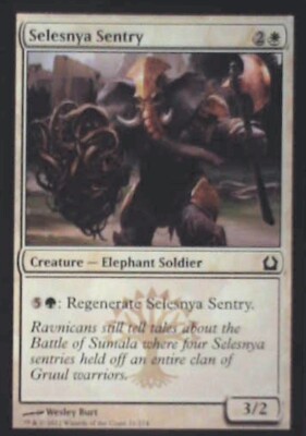 Selesnya Sentry - Return to Ravnica: #21, Magic: The Gathering Nm R172
